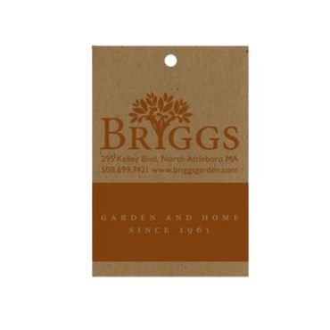 Eco-Friendly Tags Made With Recycled Paper